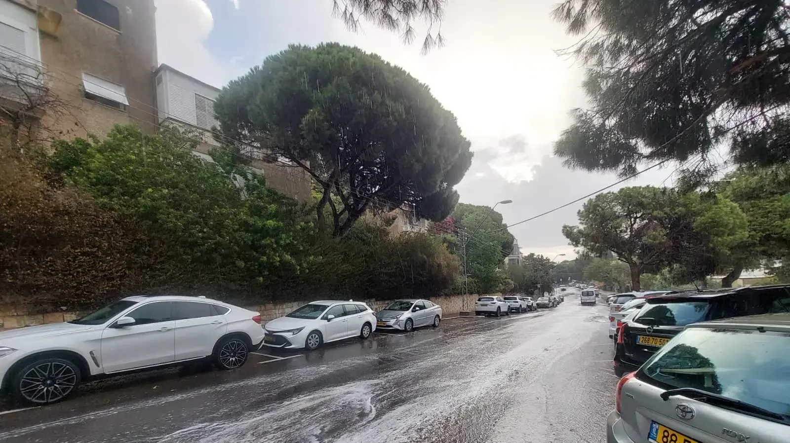 מבול בחיפה