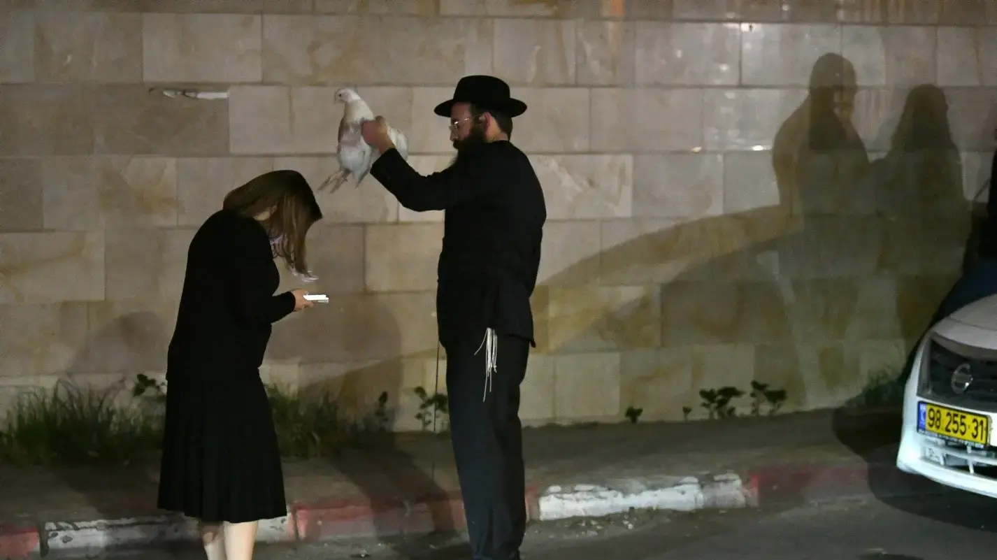 כפרות לכבוד יום כיפור , כפר חבד , 28.9.25 כפרות לכבוד יום כיפור , כפר חבד , 28.9.25
