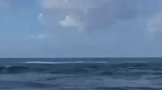 כריש בחוף נווה ים של המועצה האזורית חוף הכרמל