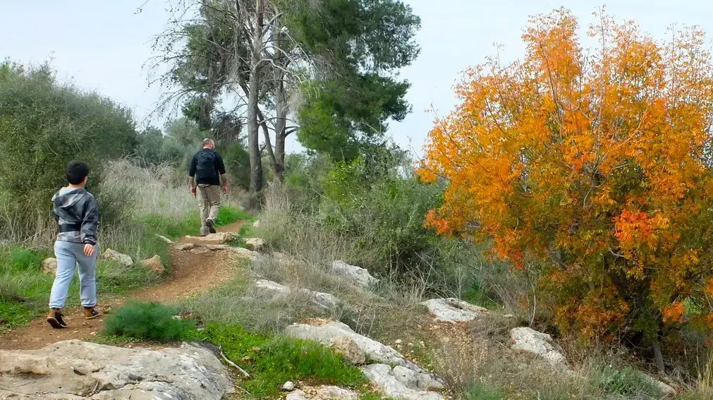 שביל האלות, פארק בריטניה שביל האלות, פארק בריטניה