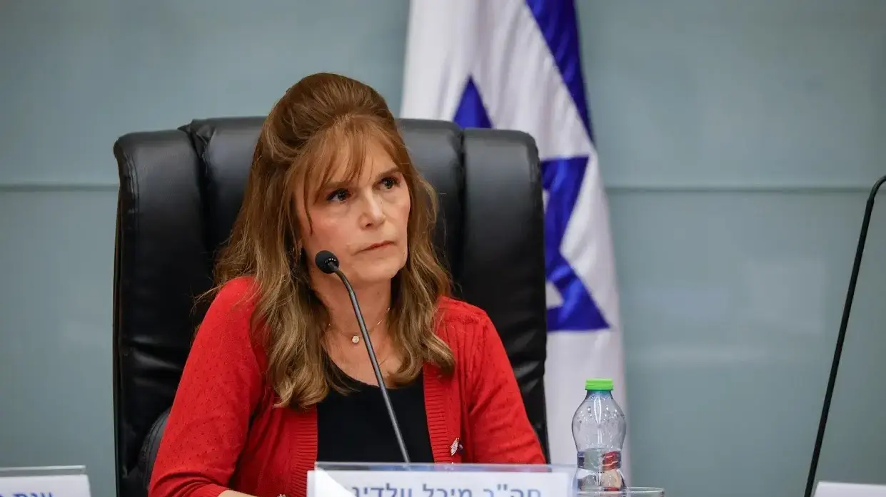 ח"כ מיכל וולדיגר ח"כ מיכל וולדיגר