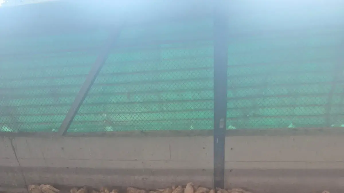 טרור חקלאי במושב עבדון טרור חקלאי במושב עבדון