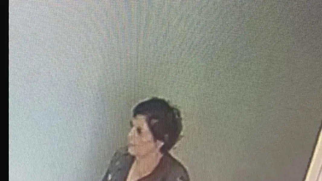 נורית יערי נורית יערי