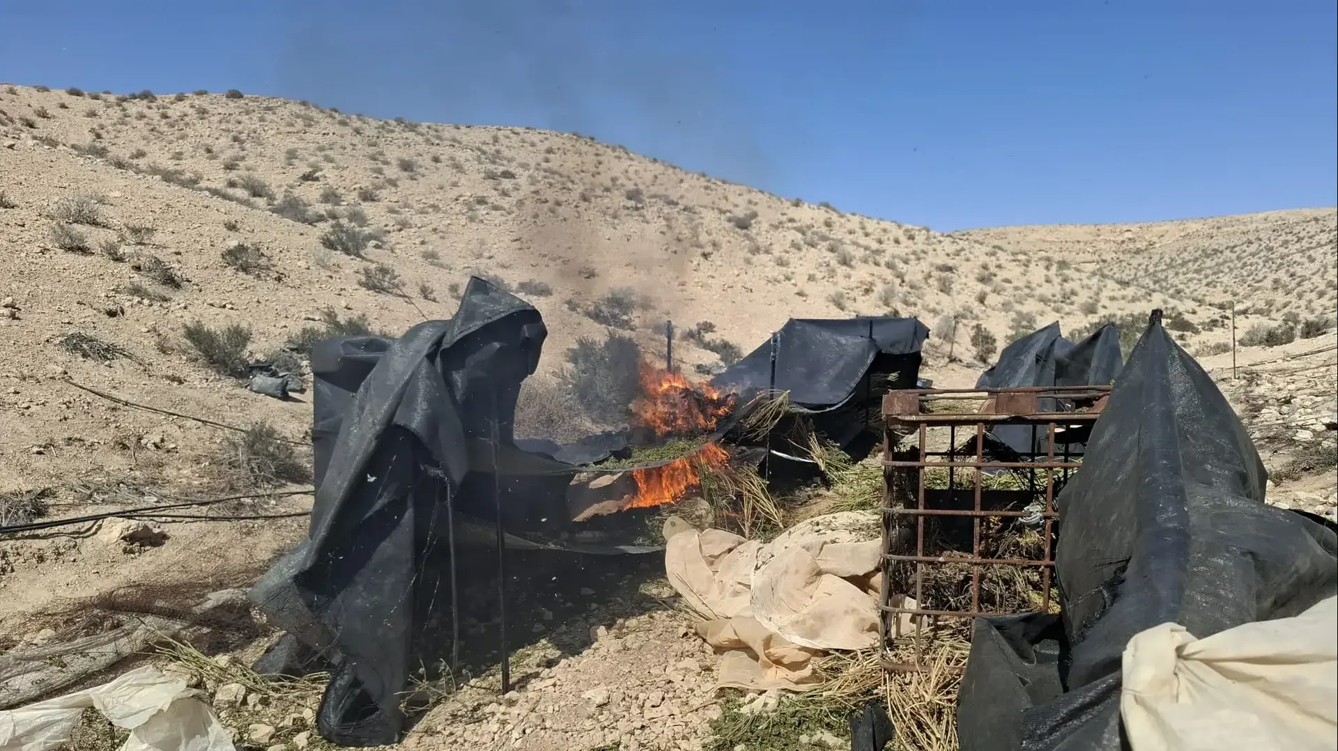 מבצע גדול להשמדת הסמים בנגב מבצע גדול להשמדת הסמים בנגב