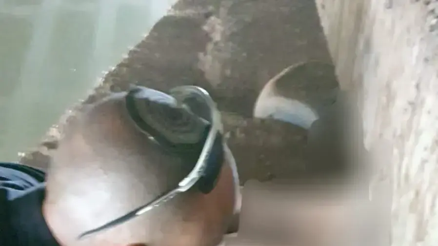 כוחות המשטרה בחיפושים לאחר הנעדרת נורית יערי בת 78 מתל אביב, נובמבר 2025 כוחות המשטרה בחיפושים לאחר הנעדרת נורית יערי בת 78 מתל אביב, נובמבר 2025