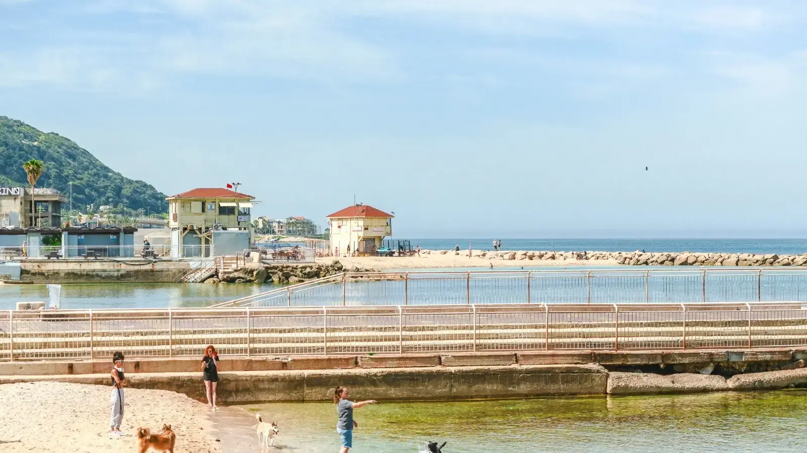 חוף הים בחיפה חוף הים בחיפה