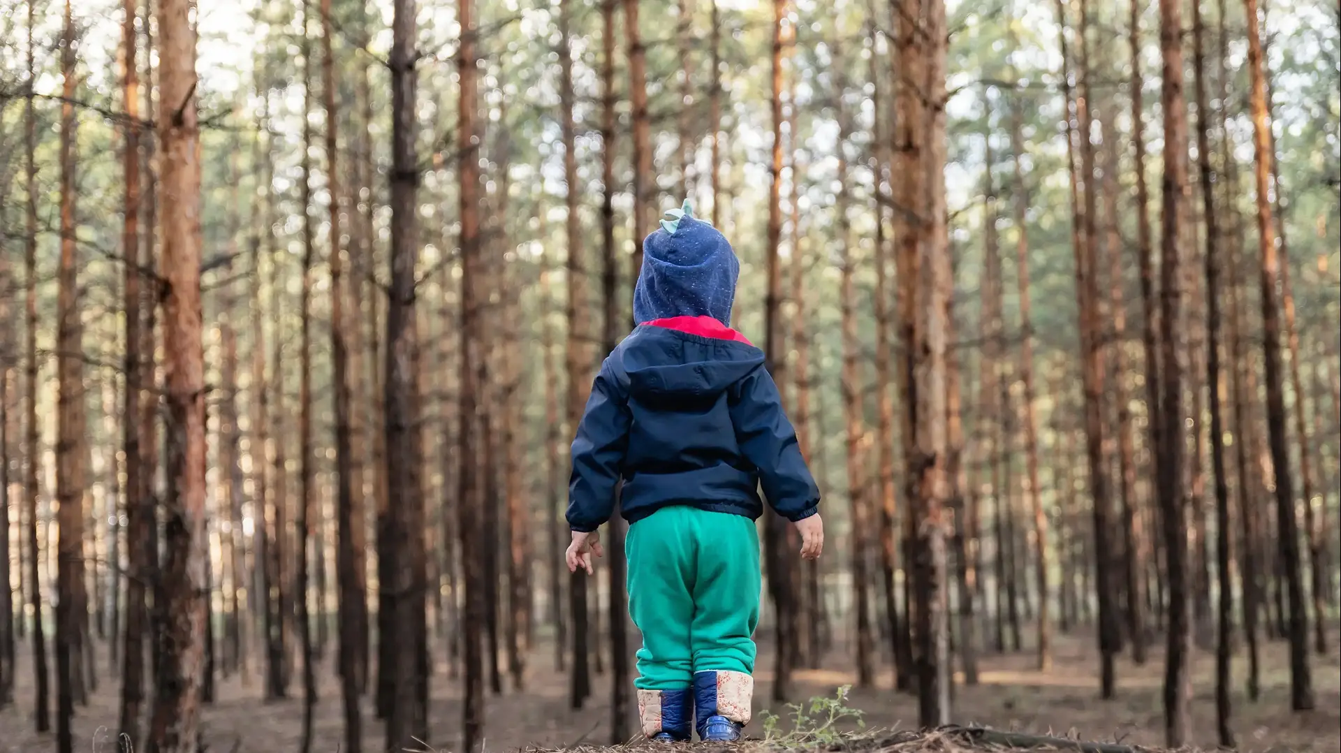 ילד אבוד ביער
