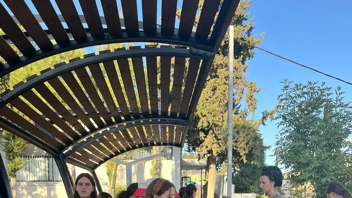 תום דמביץ תום דמביץ