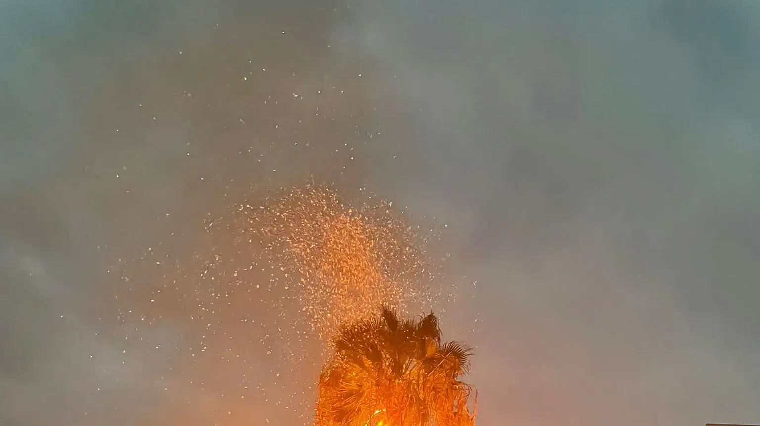 עץ דקל וושינגטוני עלה הבוקר באש, בעקבות פגיעת ברק. עץ דקל וושינגטוני עלה הבוקר באש, בעקבות פגיעת ברק.