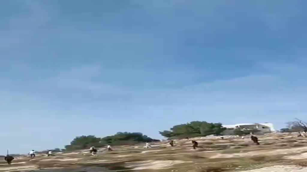 עימותים בין מתנחלים לפלסטינים באזור בית לחם עימותים בין מתנחלים לפלסטינים באזור בית לחם