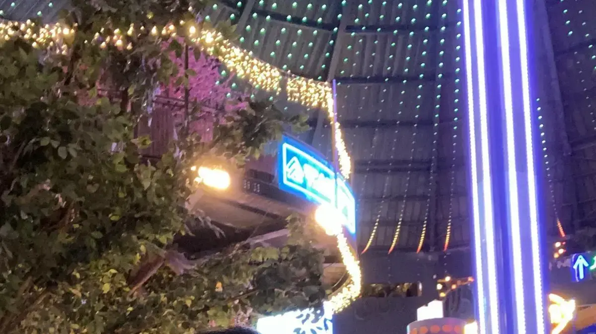 קארין ובן אוליאל, יום השוויון זכויות לאנשים עם מוגבלות קארין ובן אוליאל, יום השוויון זכויות לאנשים עם מוגבלות