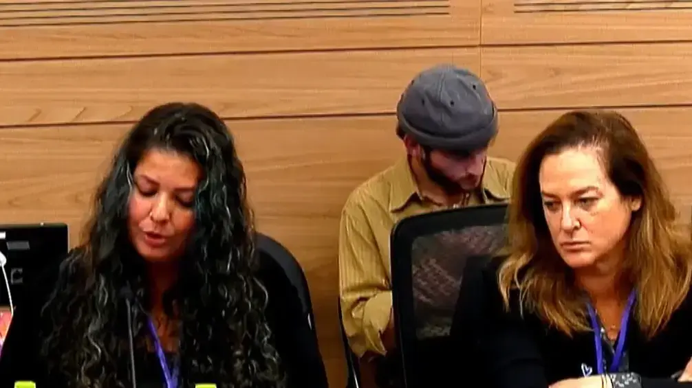 דיון המשך בוועדה לקידום מעמד האישה והוועדה המיוחדת לענייני צעירים דיון המשך בוועדה לקידום מעמד האישה והוועדה המיוחדת לענייני צעירים