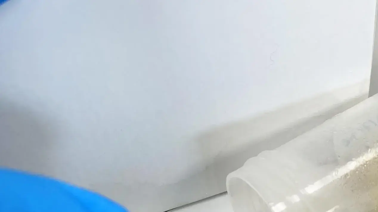 קפסולת מיקרוביום קפסולת מיקרוביום