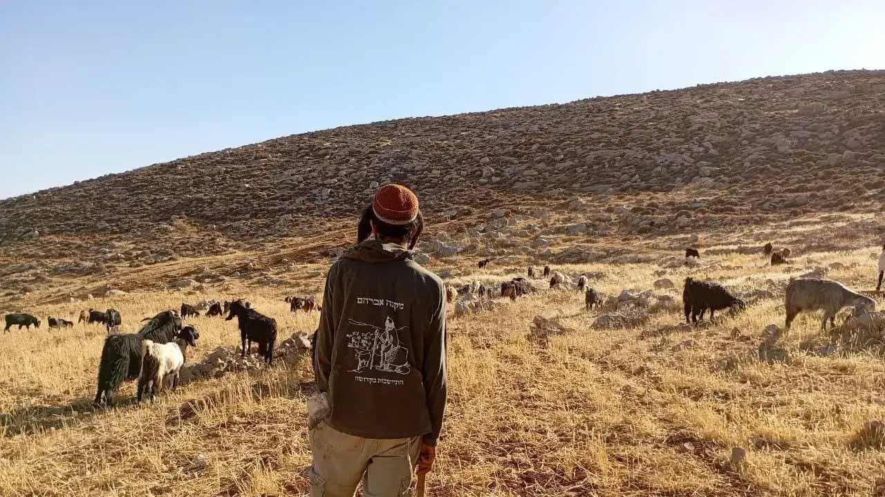 כוחות מג"ב ביצעו פינויים ופשיטות ביהודה ובשומרון, 7 בדצמבר 2025 כוחות מג"ב ביצעו פינויים ופשיטות ביהודה ובשומרון, 7 בדצמבר 2025