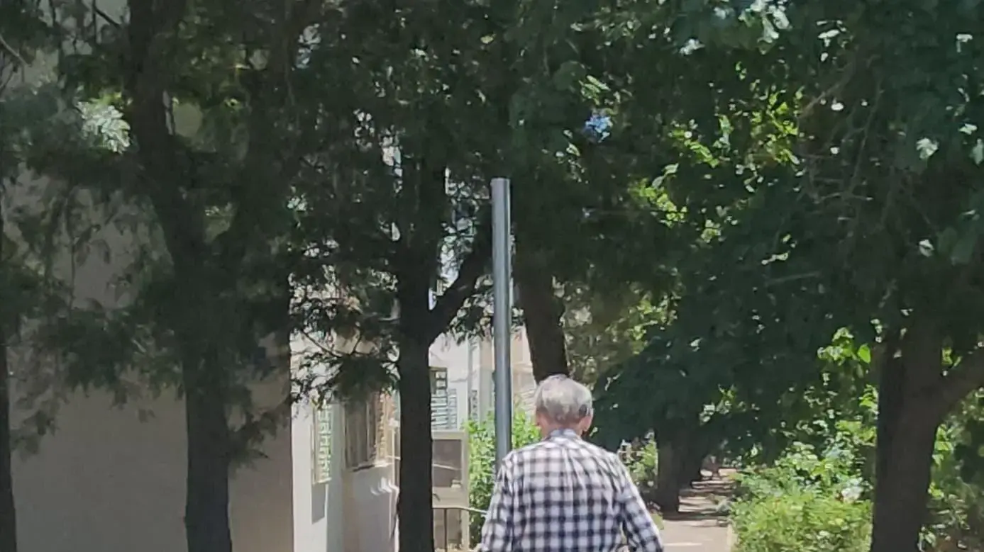 תושב מבוגר, קריית שמונה תושב מבוגר, קריית שמונה