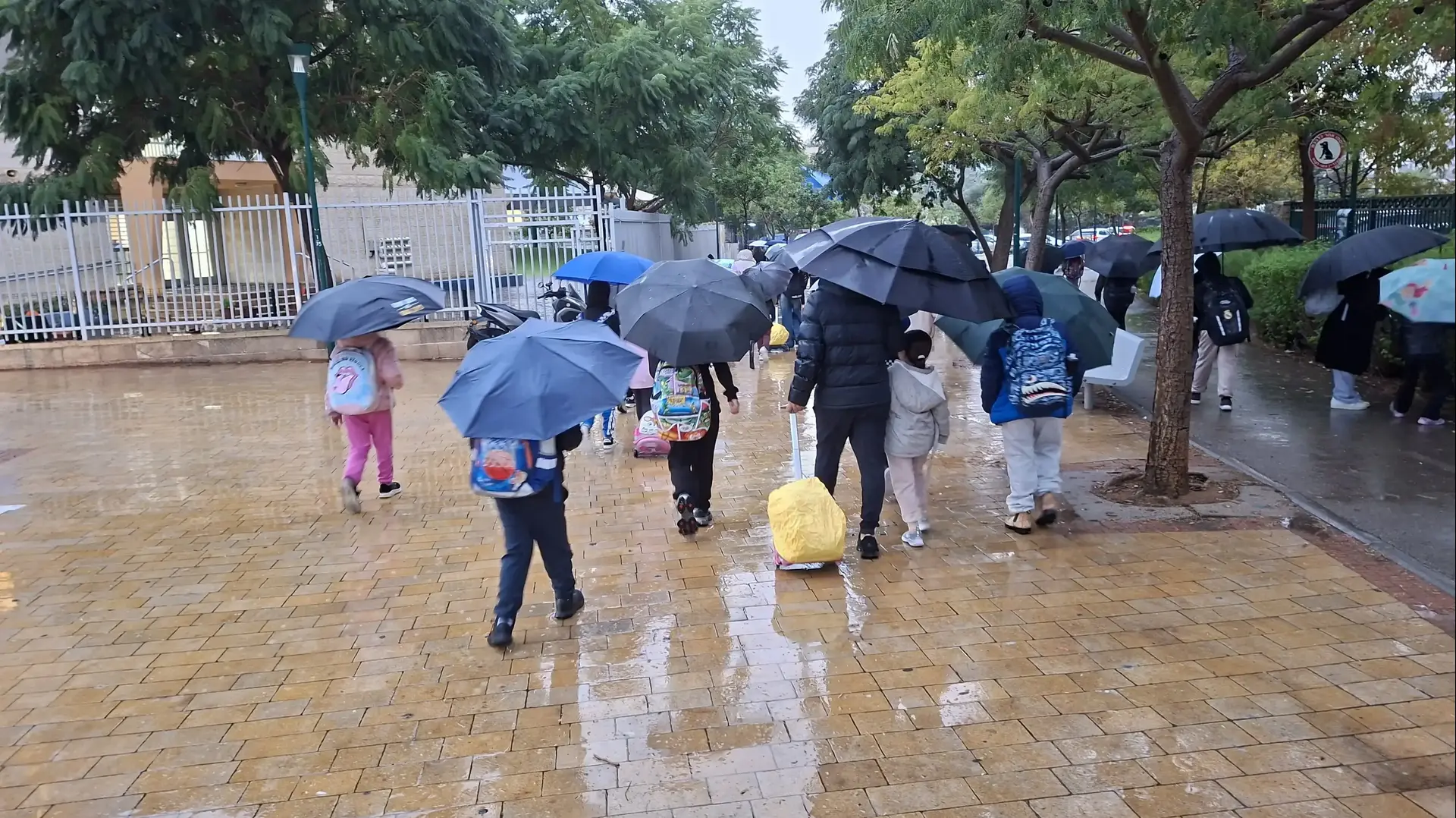 גשם
סטפת ביירון
מטריות
ילדים גשם
סטפת ביירון
מטריות
ילדים