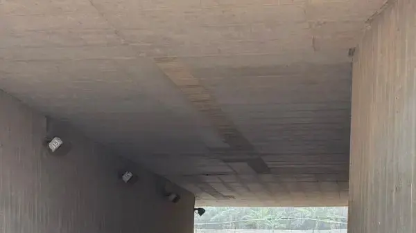 רכב שהסיע ילדים נקלע להצפה בצומת זכרון, כולם חולצו ללא פגע רכב שהסיע ילדים נקלע להצפה בצומת זכרון, כולם חולצו ללא פגע