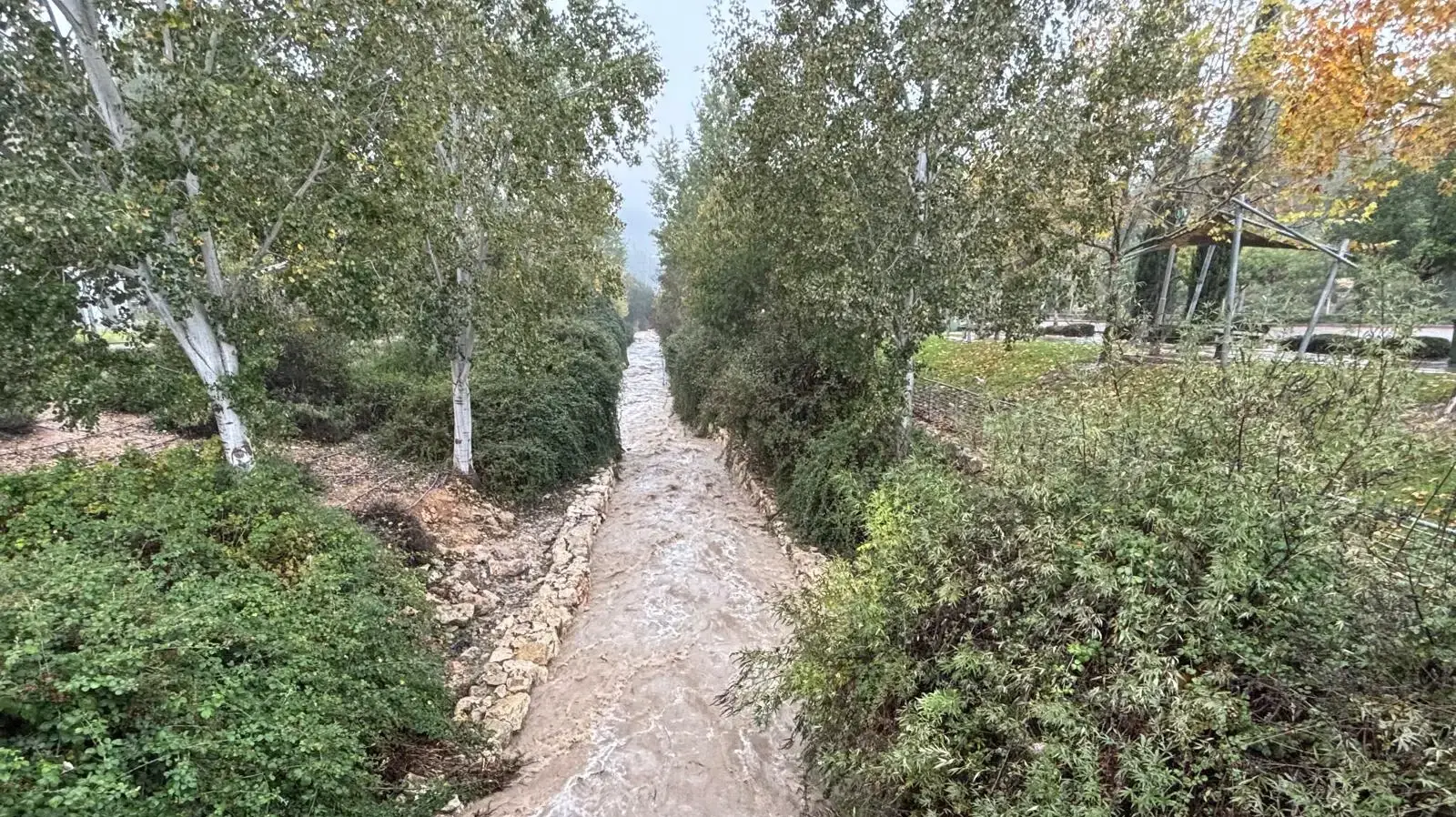 נחל רפאים פארק ירושלים, 11 בדצמבר 2025 נחל רפאים פארק ירושלים, 11 בדצמבר 2025