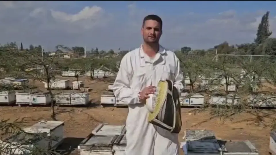 דבוראי גל גולן דבוראי גל גולן