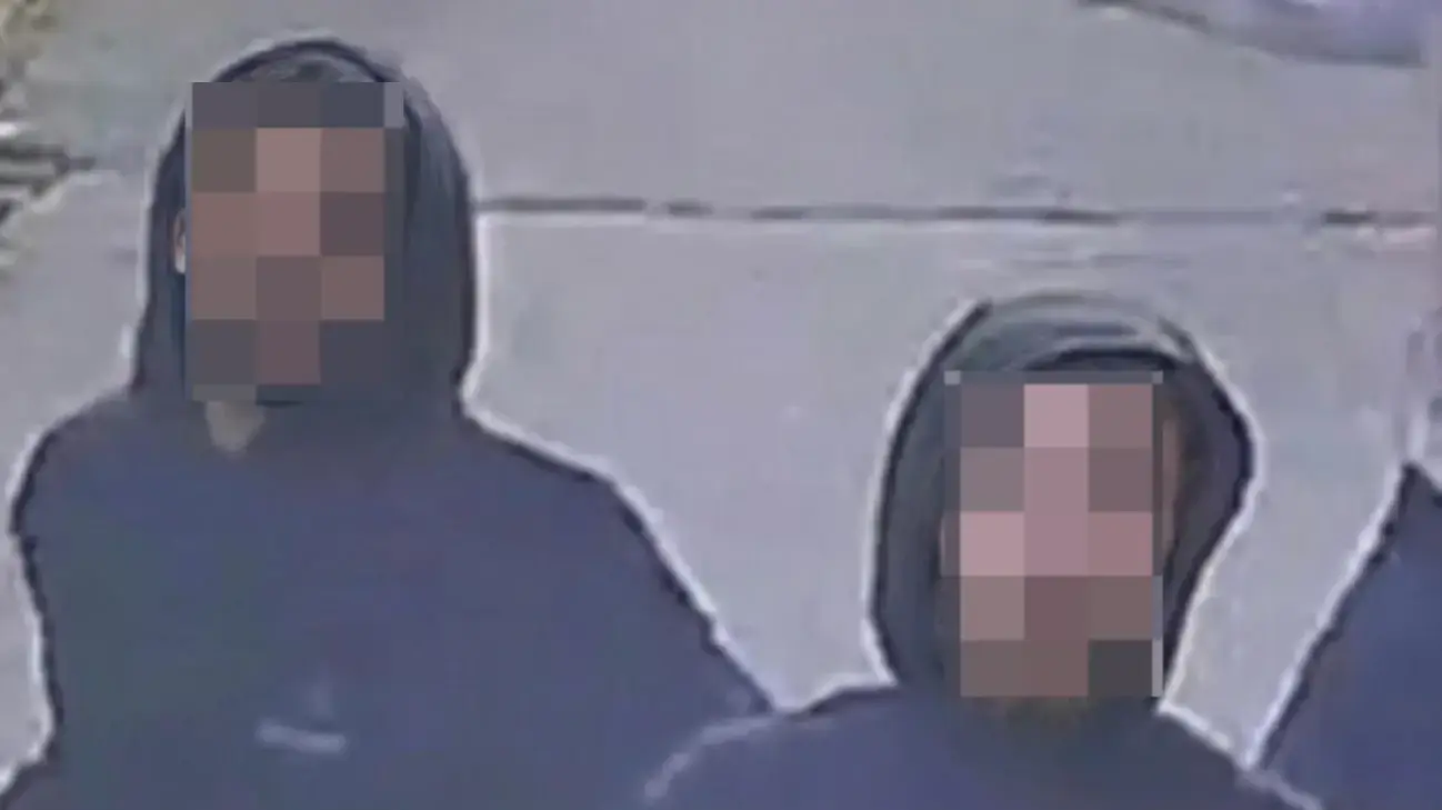 החשודים בריסוס גז פלפל על אישה בהיריון ביפו החשודים בריסוס גז פלפל על אישה בהיריון ביפו