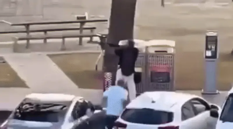 11 דקות של אימה: תיעוד הפיגוע הקשה בסידני אוסטרליה 11 דקות של אימה: תיעוד הפיגוע הקשה בסידני אוסטרליה