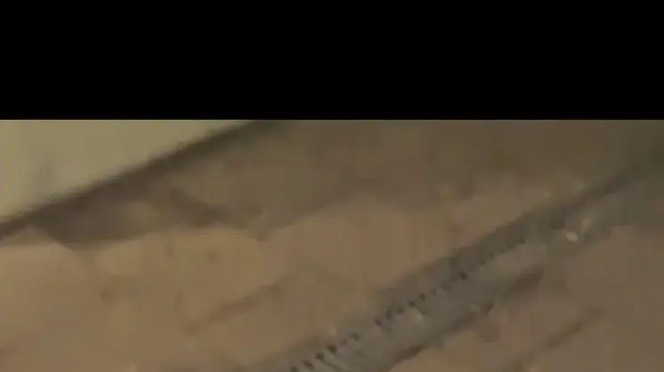 האלה שבה הותקף משה בן ה-68 מבת ים באיילון האלה שבה הותקף משה בן ה-68 מבת ים באיילון
