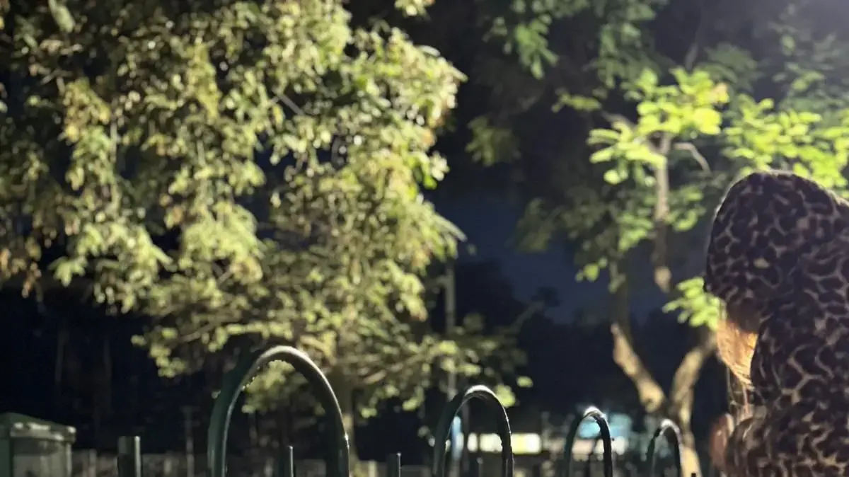 "שלטי אובדן המוסר" הוצבו בדרך לביתו של אייל גולן "שלטי אובדן המוסר" הוצבו בדרך לביתו של אייל גולן