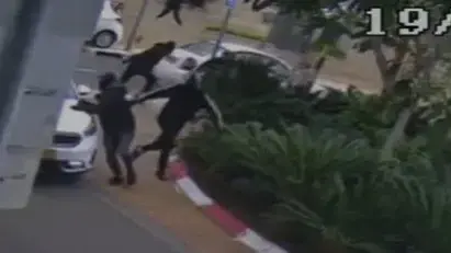 עבריינם חוטפים כלבה ראשון לציון 19 בדצמבר 2025