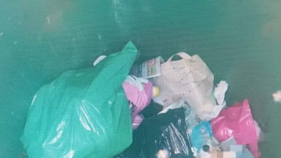  דיווח אודות כלב שנמצא זרוק בפח אשפה בפרדס חנה. 21 בדצמבר 2025