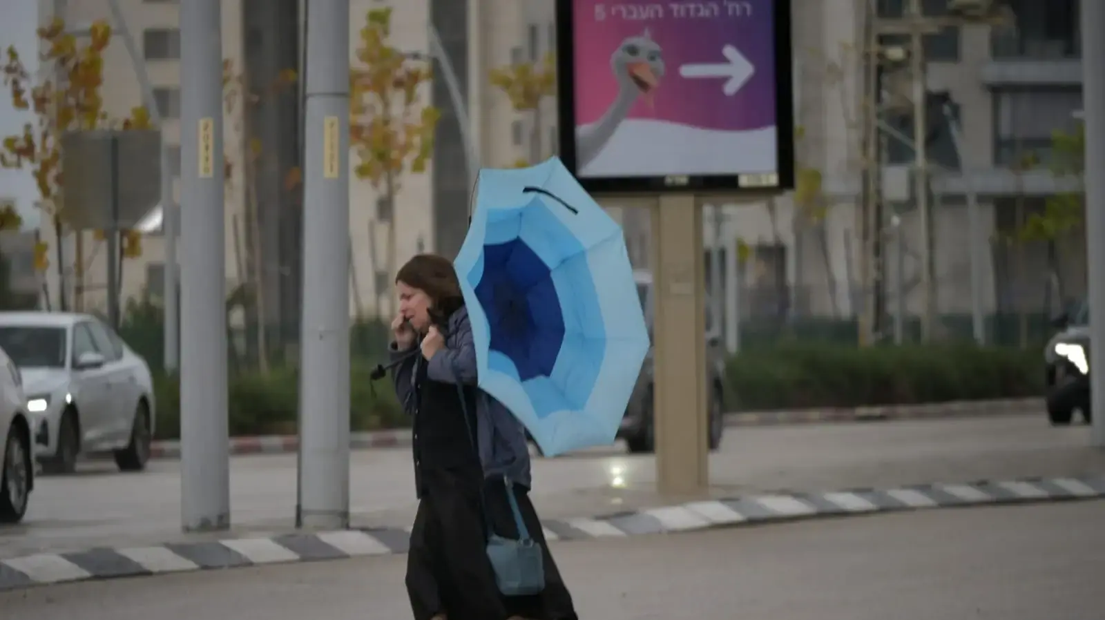 גשם