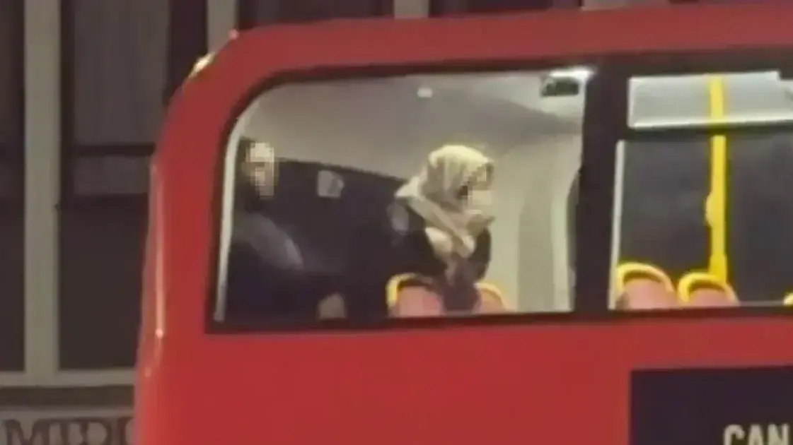 זוג עושה סקס בקומה השנייה של אוטובוס בלונדון