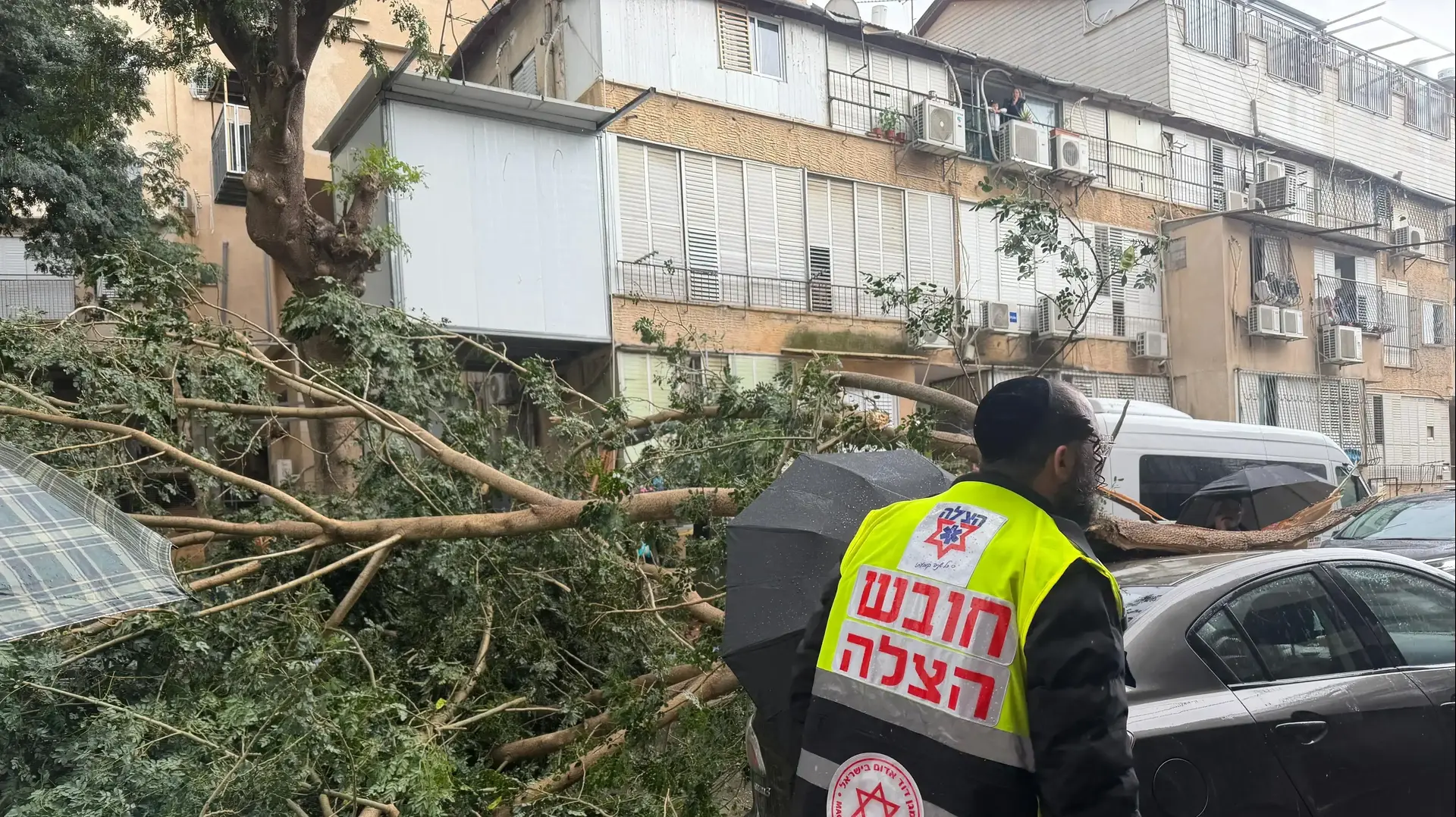 קריסת עץ בבני ברק, 09.01.2026 קריסת עץ בבני ברק, 09.01.2026