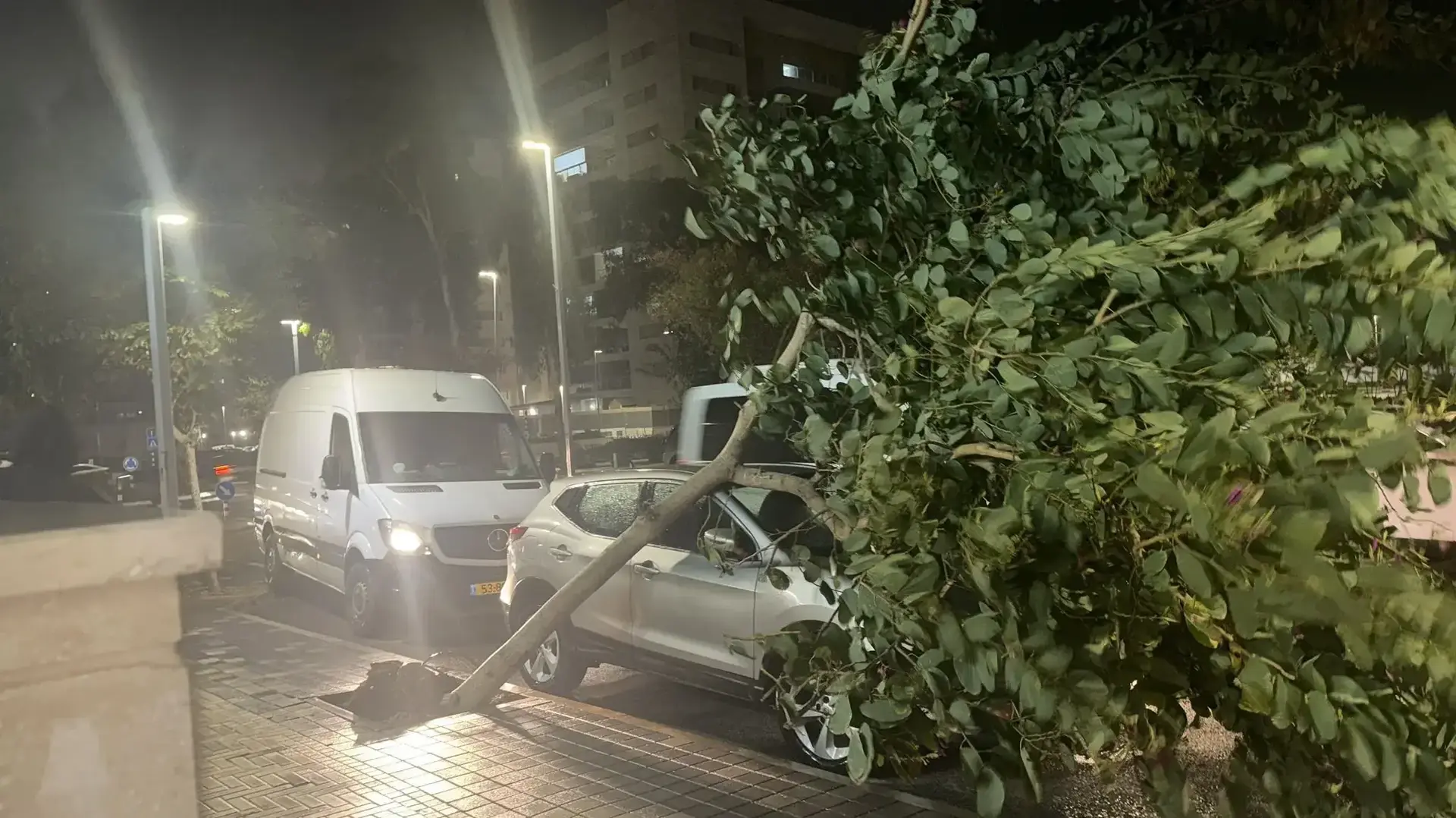 עץ קרס על רכב, עכו, 12 בינואר 2026 עץ קרס על רכב, עכו, 12 בינואר 2026