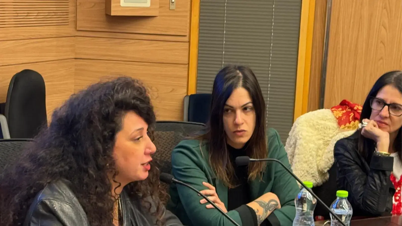 שי לי עטרי, ועדה לקידום מעמד האישה