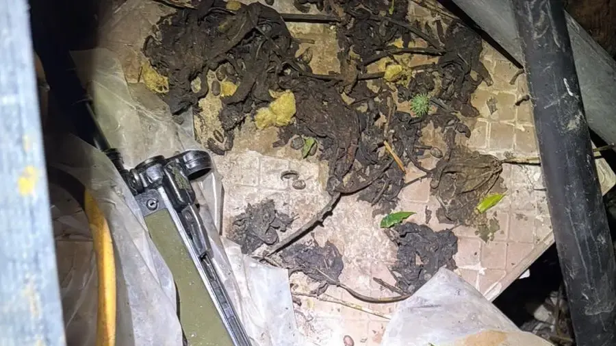 שוטרי מחוז מרכז ולוחמי משמר לאומי מרכז במג״ב חשפו סליק אמצעי לחימה ותחמושת צבאית גנובה בחווה במרכז הארץ - 3 חשודים, בתוכם שב״ח קטין, נעצרו שוטרי מחוז מרכז ולוחמי משמר לאומי מרכז במג״ב חשפו סליק אמצעי לחימה ותחמושת צבאית גנובה בחווה במרכז הארץ - 3 חשודים, בתוכם שב״ח קטין, נעצרו