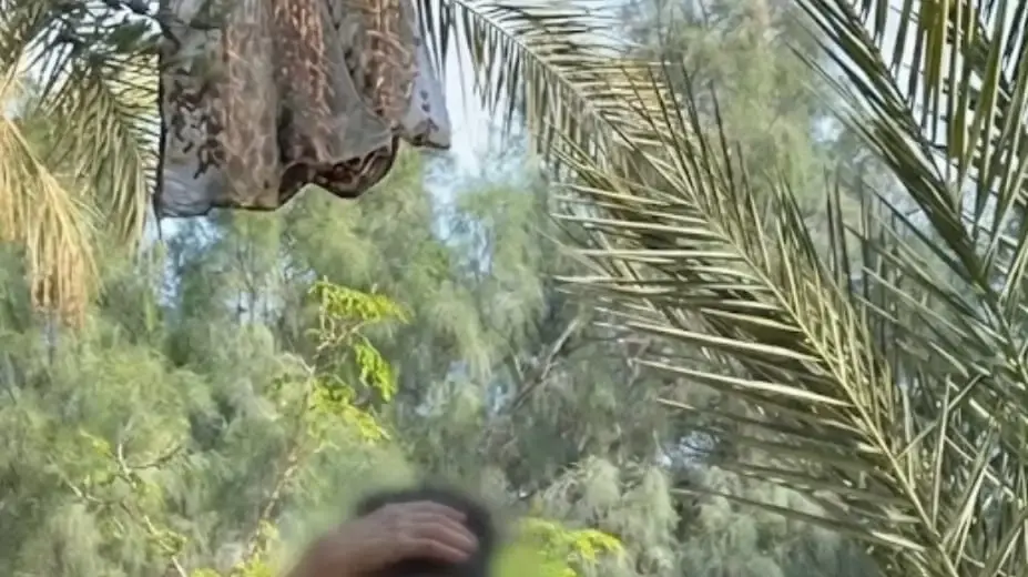 ליטל ברגע הכאב ליטל ברגע הכאב