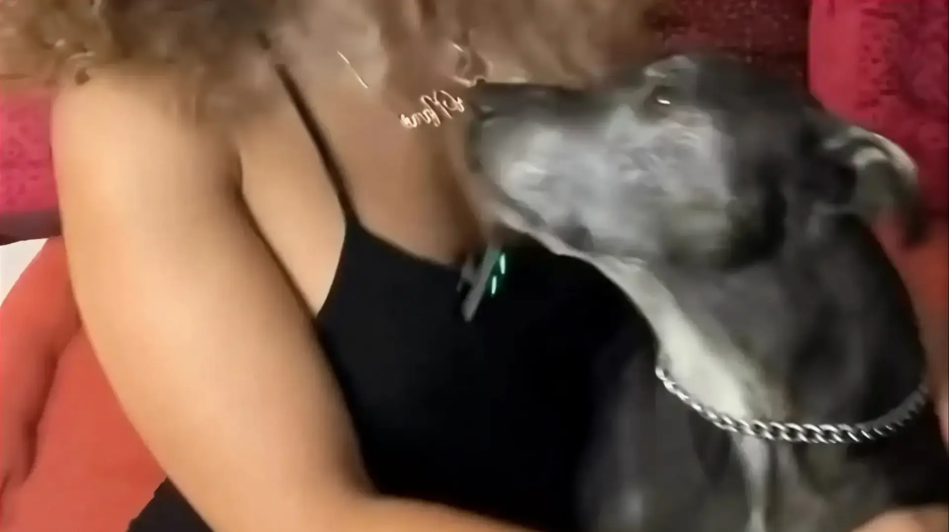 אישה שהקפיאה את הכלב שלה