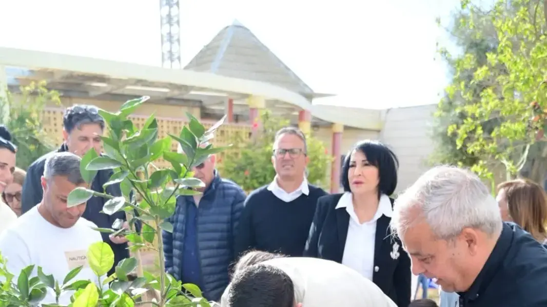 מהשבי אל הגנים: מסע התודה המרגש של שגב כלפון בדימונה מהשבי אל הגנים: מסע התודה המרגש של שגב כלפון בדימונה