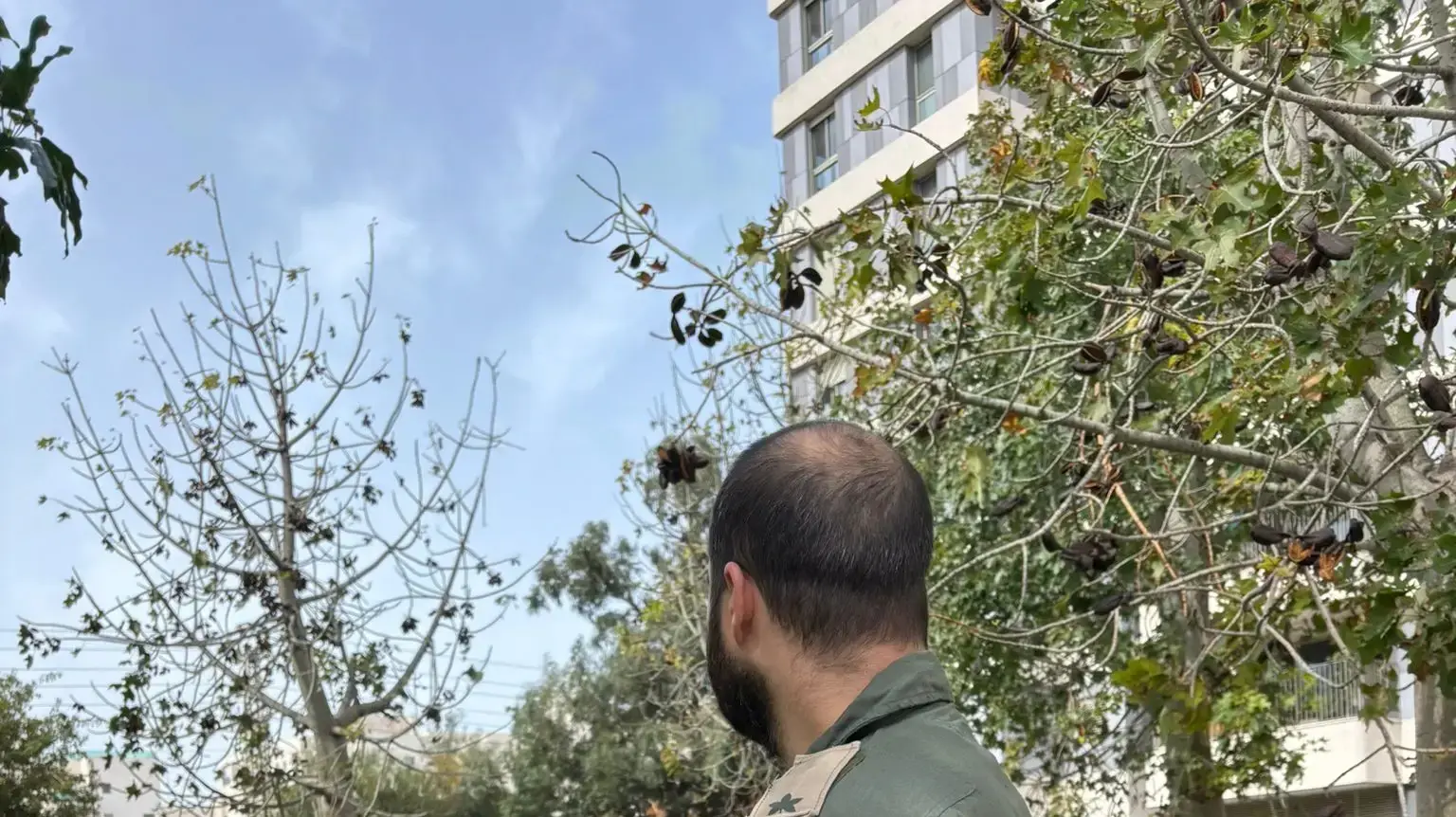ד"ר ורס"ן במיל' רועי דור ד"ר ורס"ן במיל' רועי דור