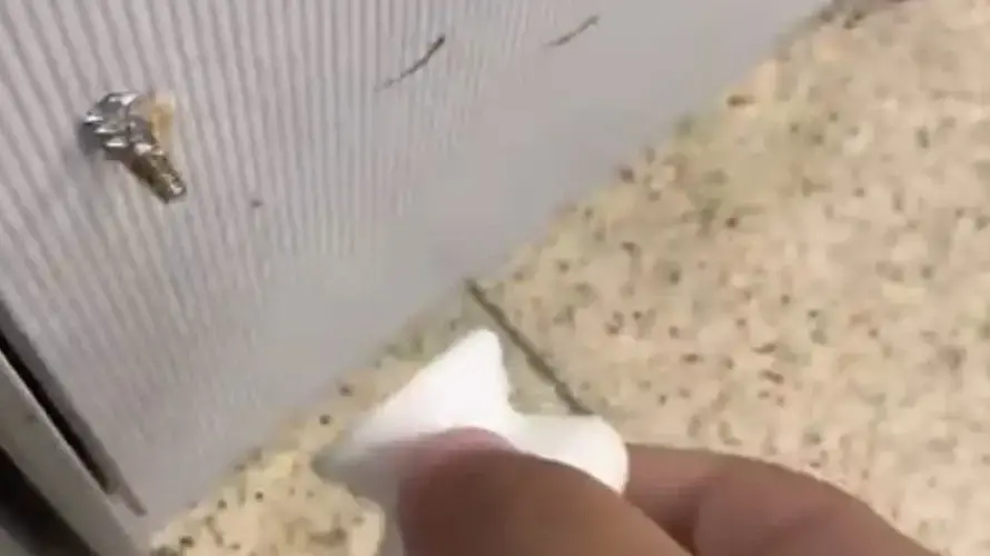 מפגע שגרם לילדה להפצע בבית הספר ביהוד. 8 בפברואר 2026 