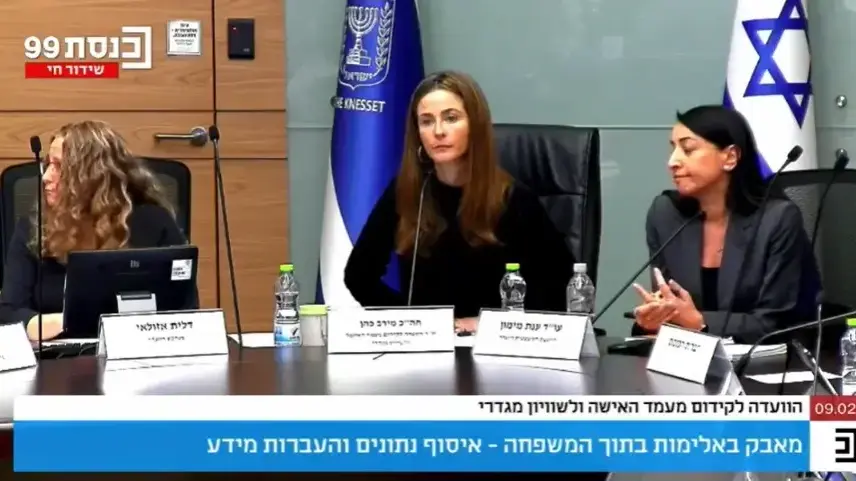 הועדה לקידום מעמד האישה - עדותה של רותם, שנמלטה מבן זוגה למקלט לנשים מוכות עם בתה הועדה לקידום מעמד האישה - עדותה של רותם, שנמלטה מבן זוגה למקלט לנשים מוכות עם בתה