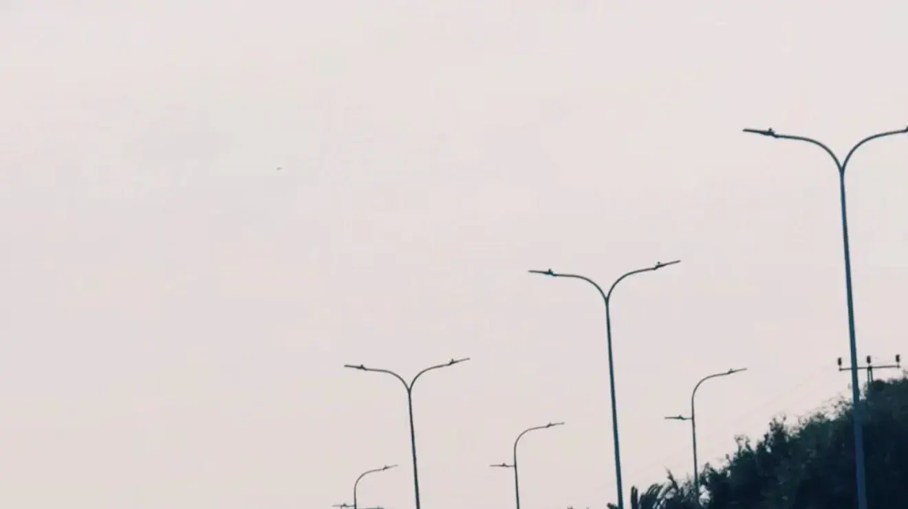 שיירת "כתף אל כתף" במחאה על חוק הגיוס שיירת "כתף אל כתף" במחאה על חוק הגיוס