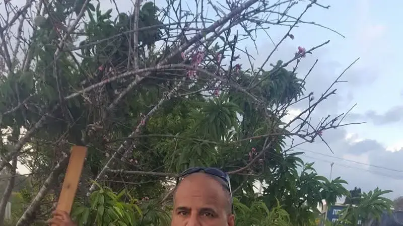 אבישי יפתח נהג המונית הנאשם אבישי יפתח נהג המונית הנאשם