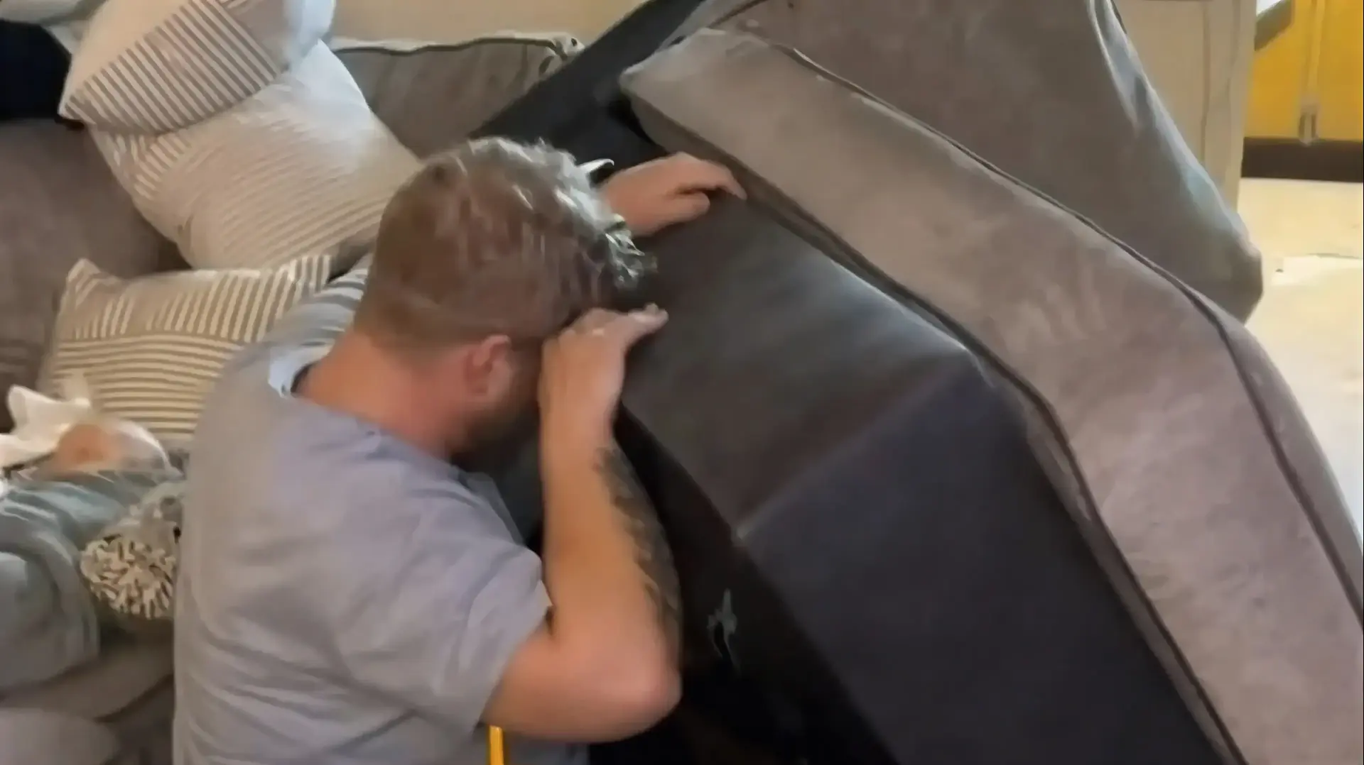 שמעו רעשים מהספה המשומשת ונדהמו ממה שמצאו בתוכה
