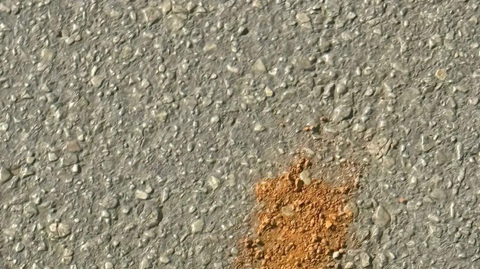 הכנות לפורים בצל האיום האיראני הכנות לפורים בצל האיום האיראני