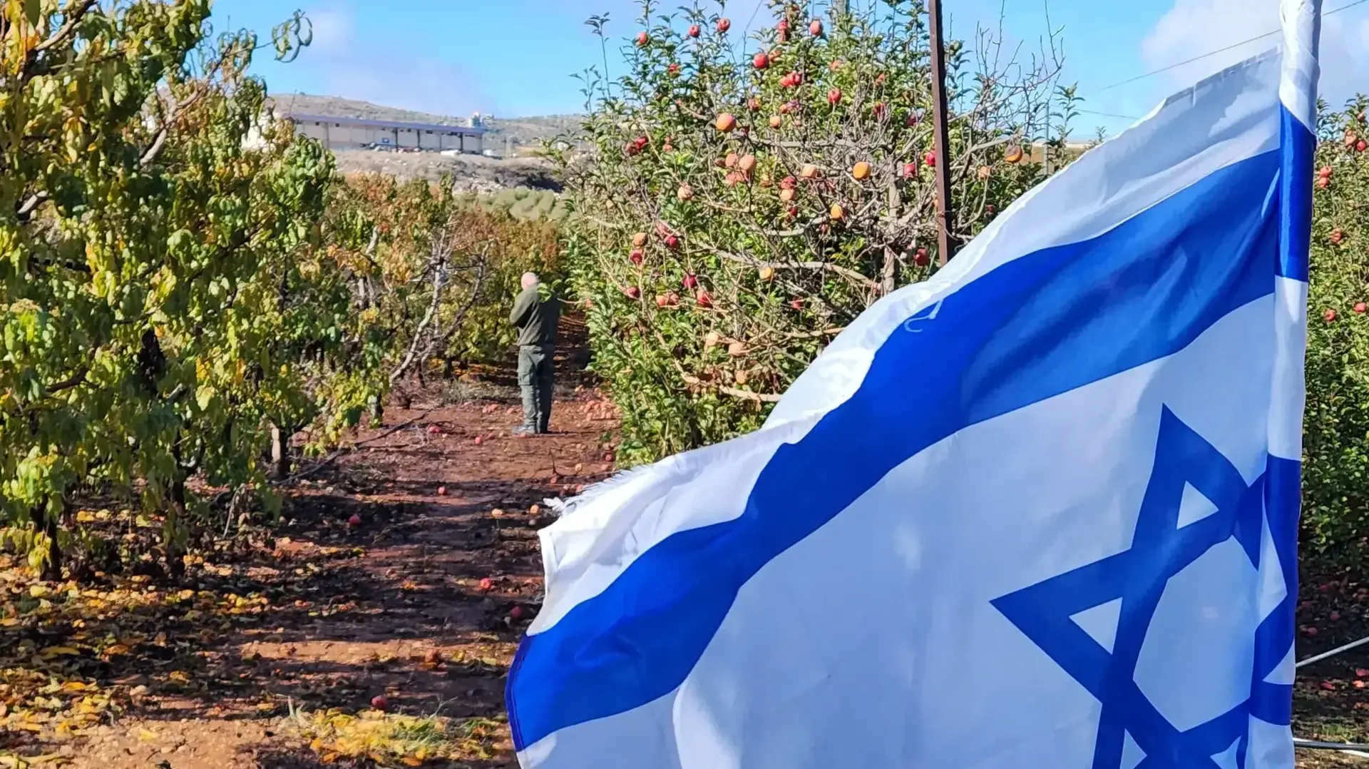 מטע התפוחים שבו נהרגו עומר ויינשטיין ועובדיו, נובמבר 2024