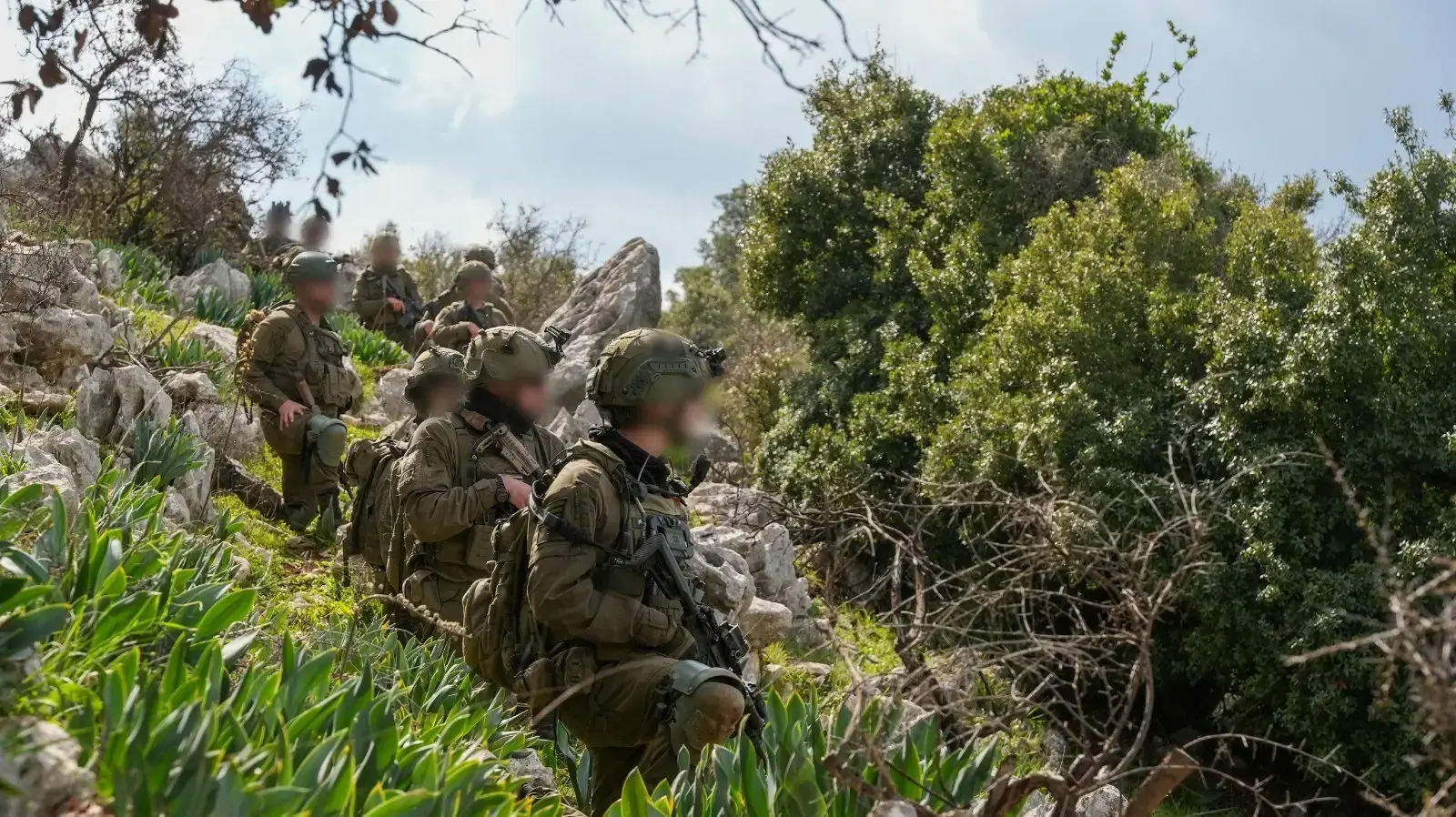 פעילות כוחות חטיבת ׳ההרים׳ (810) בהר דב הלבנוני פעילות כוחות חטיבת ׳ההרים׳ (810) בהר דב הלבנוני