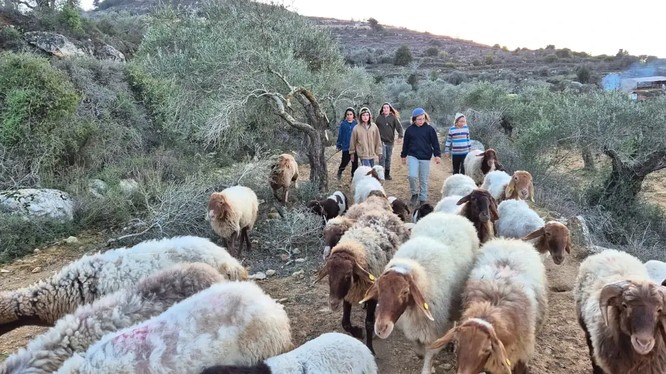 כוחות מג"ב ומינהל אזרחי הגיעו לחוות נוף המשכן הסמוכה לשילה, פינו את 2 משפחות החווה והרסו את המבנים