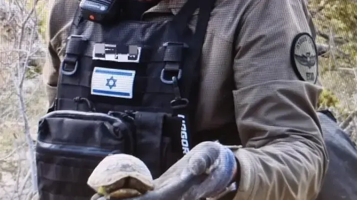 הצב שאותר בזירת נפילת הרסיס במועצה האזורית מטה יהודה, 6 במרץ 2026 הצב שאותר בזירת נפילת הרסיס במועצה האזורית מטה יהודה, 6 במרץ 2026