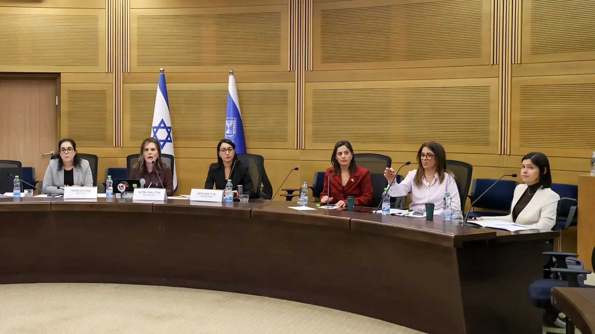 ועדת העבודה והרווחה בדיון נגישות בעת חירום ועדת העבודה והרווחה בדיון נגישות בעת חירום
